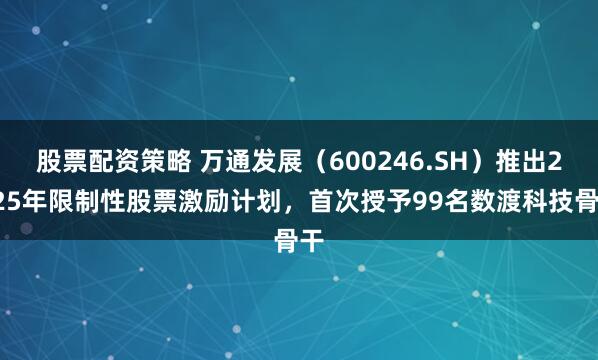 股票配资策略 万通发展（600246.SH）推出2025年限制性股票激励计划，首次授予99名数渡科技骨干